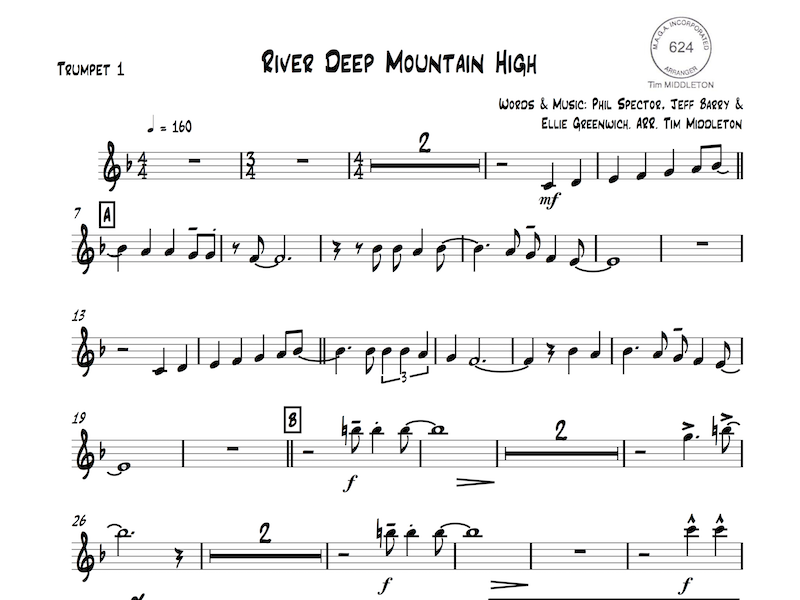 River Deep is a classic song which has been covered by many artists. This instrumental arrangement sounds great and will get the crowds up dancing.