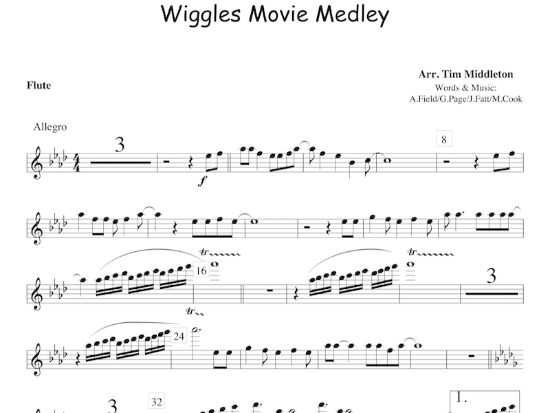 This arrangement features a number of tunes from the popular children's group The Wiggles. The songs include: Romp Bomp a Stomp, Rock-a-bye Your Bear, Hot Potato, Quack Quack, Fruit Salad and Dorothy (Would you like to dance). Ideal for family concerts and available for Brass or Concert Band.